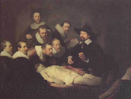 REMBRANDT Harmenszoon van Rijn The anatomy Lesson of Dr Nicolaes tulp (mk33)